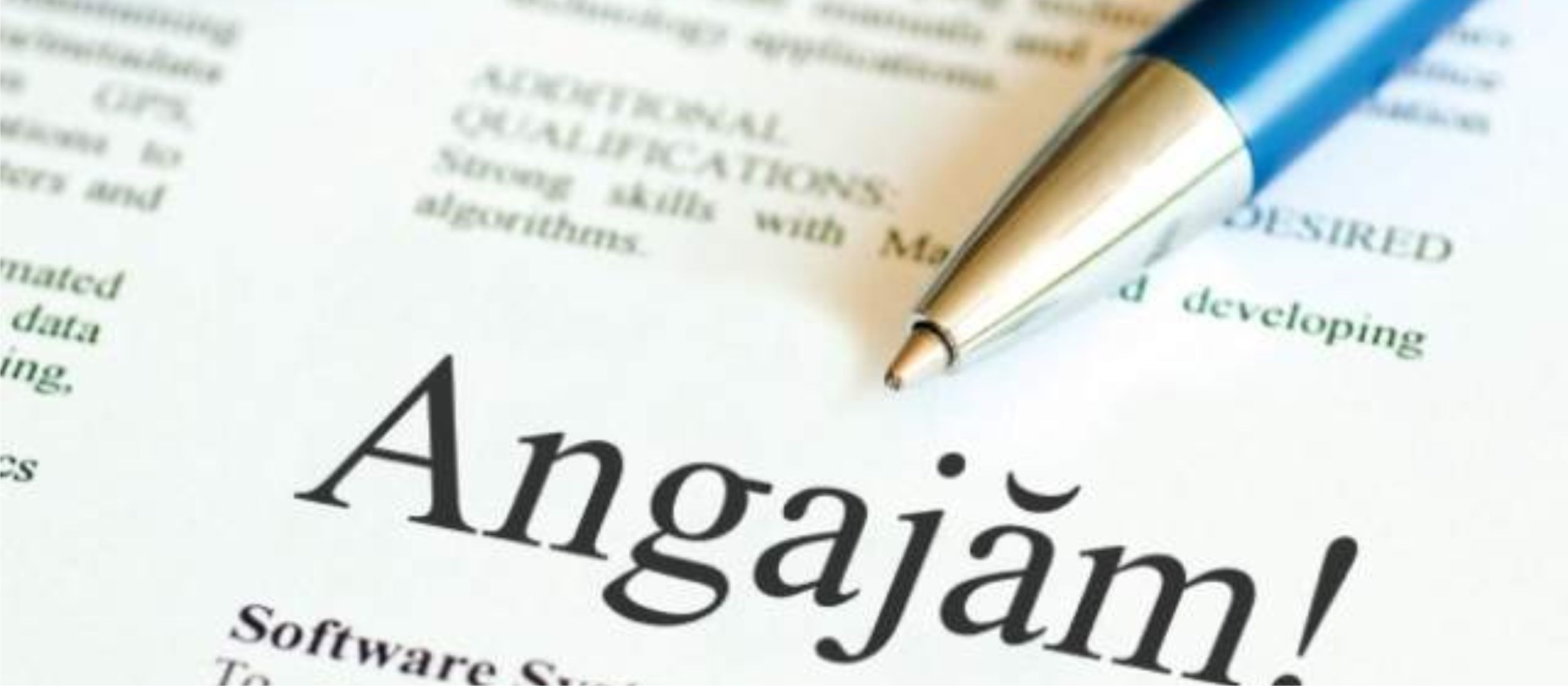 &Icirc;n aten&#539;ia &#537;omerilor: 872 locuri de munc&#259; vacante &icirc;n jude&#539;ul V&acirc;lcea