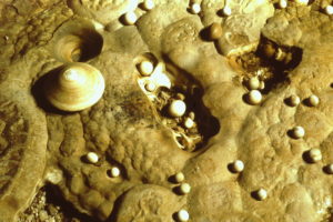 perle-de-caverna