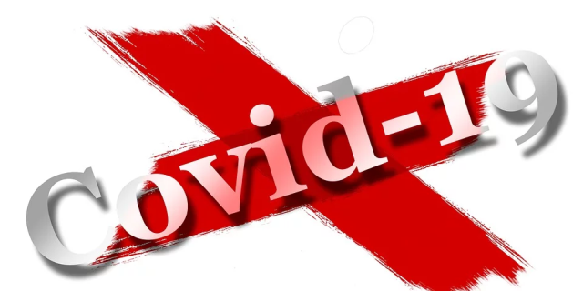 coronavirus-covid19-pandemie-infectare-virus-foto-pixabay-com