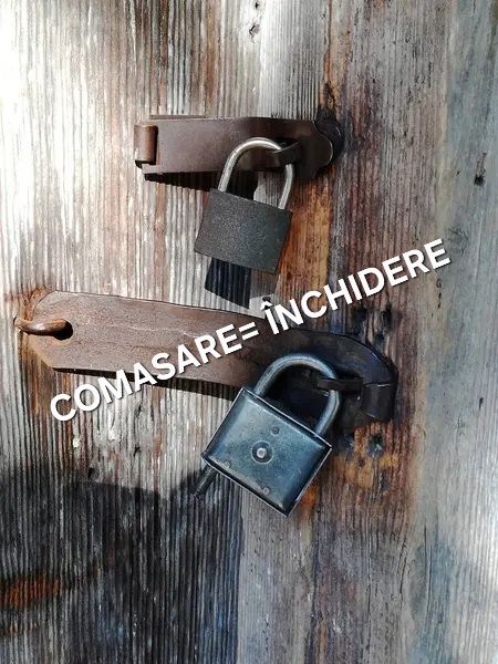 Iuliana Radi: Un pas spre analfabetism cultural - bibliotecile comasate, comunitățile uitate!